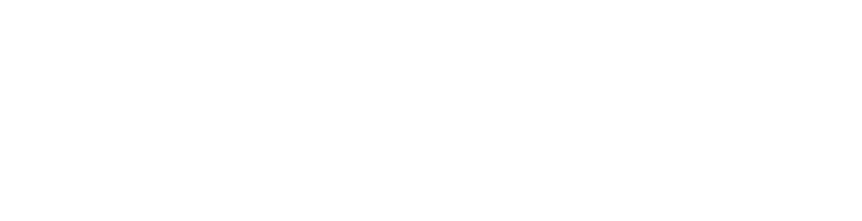 synergy fit logo