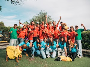 Photo de l’établissement Mf Kite - Kitesurf et Wingfoil - École et shop